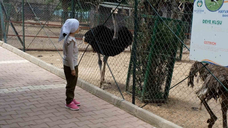 Kurban Bayramı’nda Hayvanat Bahçesi Öğrencilere Ücretsiz Olacak