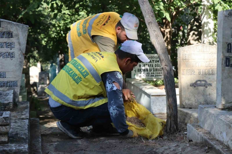 Şanlıurfa’da Mezarlıklarda Bayram Temizliği