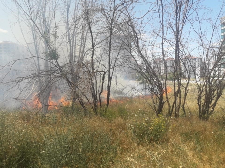 Malatya’da Çıkan Anız Yangını Söndürüldü