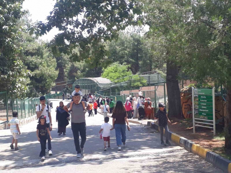 Doğal Yaşam Parkı, Bayram Tatilinde Yüz Bin Ziyaretçi Ağırladı