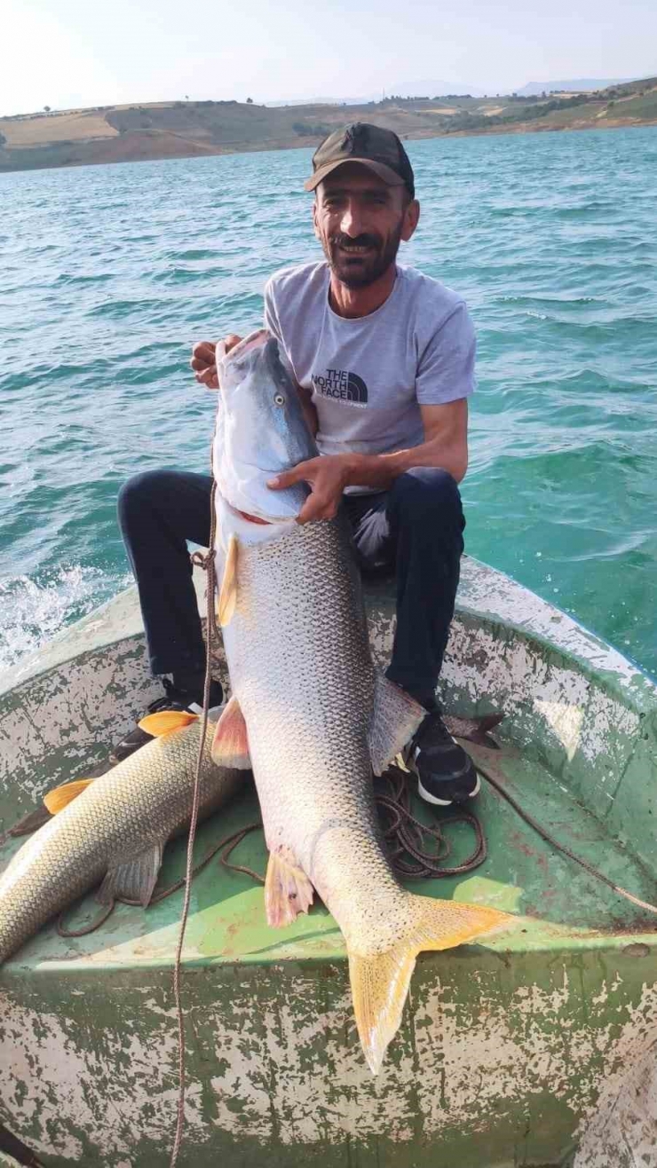 Fırat Nehri’nde 30 Kiloluk Turna Balığı Oltaya Takıldı