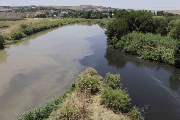 Basra Körfezi’ne Kadar Giden Dicle Nehri’nde Korkutan Görüntü