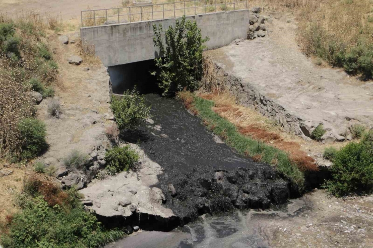 Basra Körfezi’ne Kadar Giden Dicle Nehri’nde Korkutan Görüntü