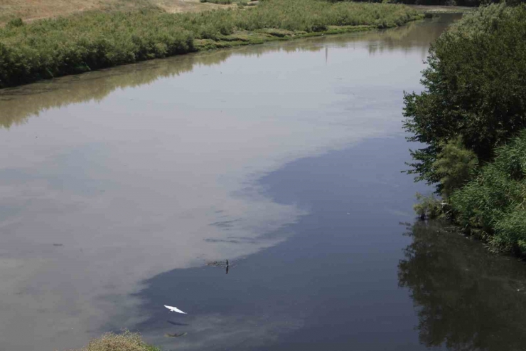 Basra Körfezi’ne Kadar Giden Dicle Nehri’nde Korkutan Görüntü