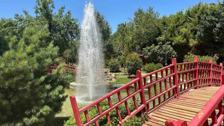 Gaziantep’te Çiftler Doğal Fotoğraf Stüdyosunu Tercih Ediyor