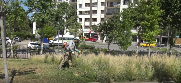 Malatya’da Parkların Bakım Ve Onarımları Sürüyor