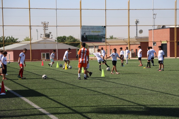 Şanlıurfa’da 100 Bin Çocuk Spor Yapıyor