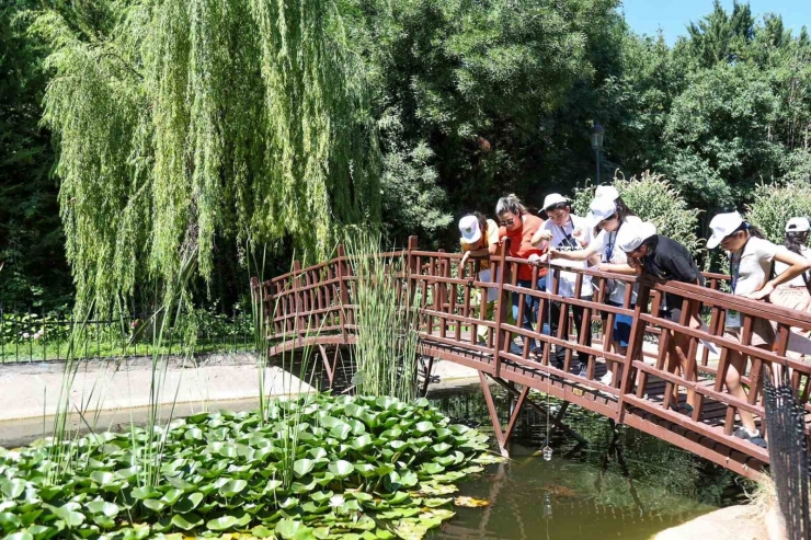 Ekolojik Atölyede Yaz Kursları Devam Ediyor