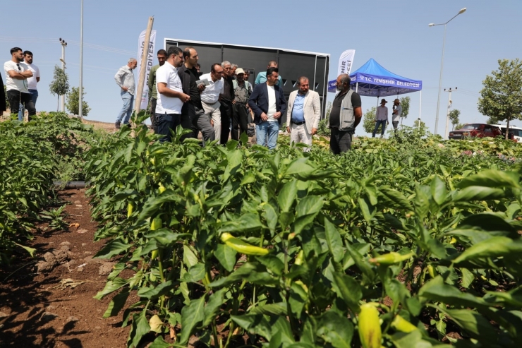 Yenişehir Belediyesi’nden Üreticilere Organik Gübre Ve Tohum Desteği