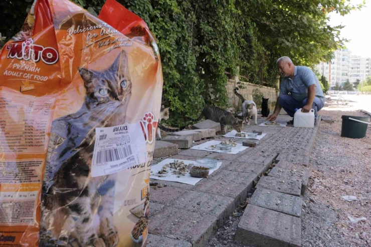 Diyarbakır Sıcaklarında Günde 3-4 Bin Sokak Hayvanına Mama Ve Su Veriliyor