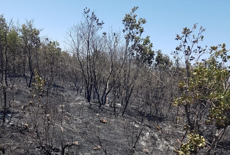 Diyarbakır’da 18 Saattir Devam Eden Yangın Kontrol Altına Alındı