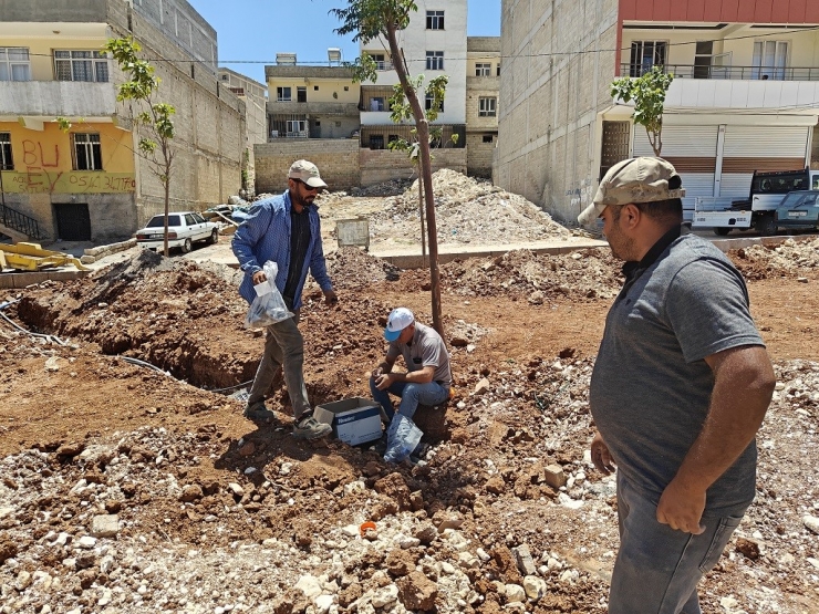 Kito Deresi Yaşam Parkında Çalışmalar Sürüyor