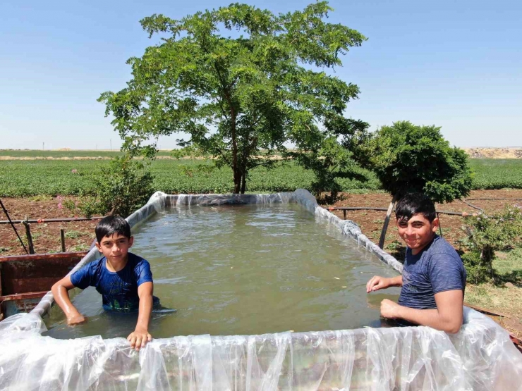 Diyarbakır’da Sıcaklardan Bunalan Çocukları İçin Römorku Havuza Çevirdi