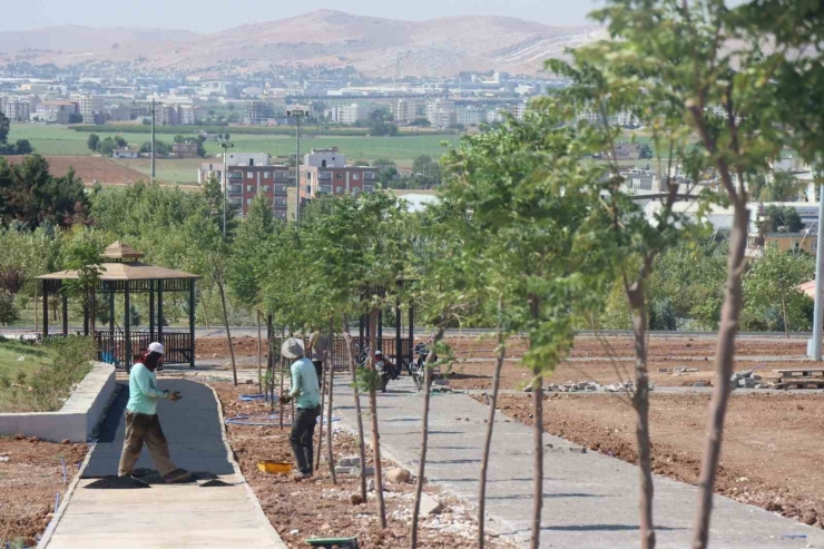 Şanlıurfa’ya 80 Bin Metrekarelik Park