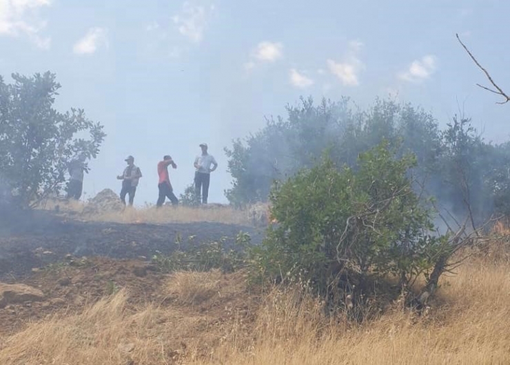 Diyarbakır’da Çıkan Örtü Yangını 7 Saat Sonra Kontrol Altına Alındı