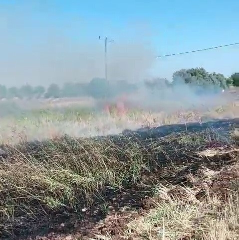 Adıyaman’da Anız Yangını