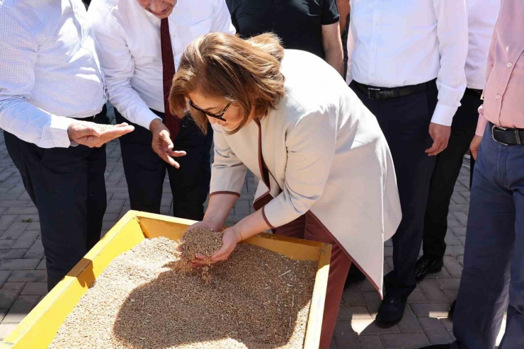 Gaziantep’te 7 İlçe Belediyesine Tohum Eleme Makinesi Dağıtıldı