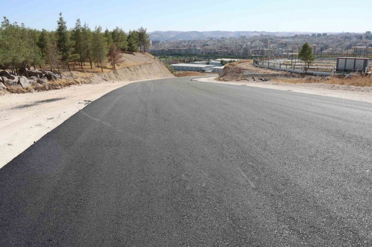 Kır Düğün Bahçesi Yolu Asfaltlandı