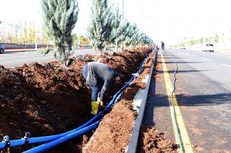 Diski Su Tasarrufu İçin Toplandı