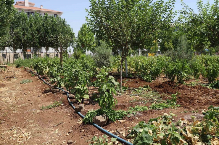 Halı Yıkama Fabrikası Ve Oto Yıkamacılarda Su Denetimi