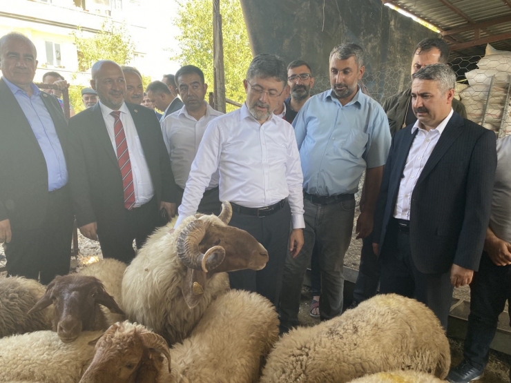 Depremzede Devletin Verdiği Destekle Yeniden Küçükbaş Hayvan Yetiştirmeye Başladı