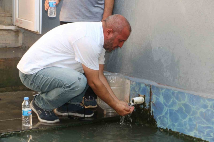 Hani’deki Aynkaris Şifalı Su Havuzu Vatandaşlar Tarafından Yoğun İlgi Görüyor