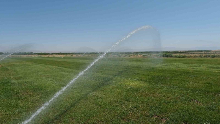 Malatya’da 30 Bin Fidan Toprakla Buluşacak