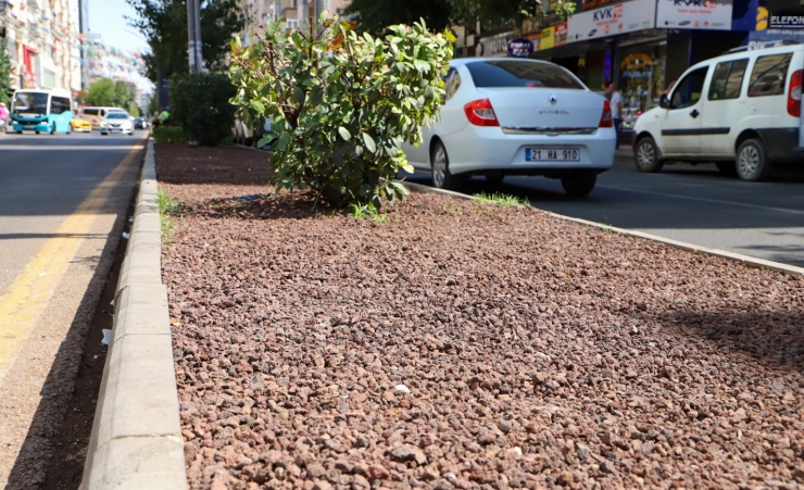 Su Tasarrufu İçin Kuru Peyzaj Çalışmaları Başladı