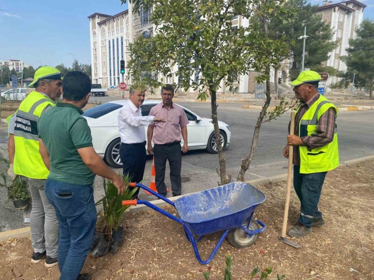 Refüj Ve Kavşaklar Yenileniyor