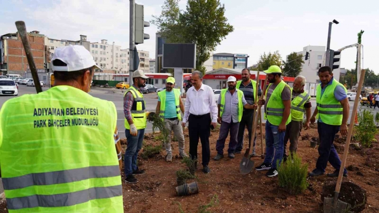 Refüj Ve Kavşaklar Yenileniyor