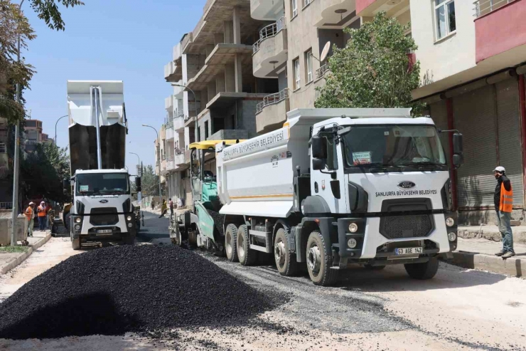 Şanlıurfa Büyükşehir’den Viranşehir’de Asfalt Atağı