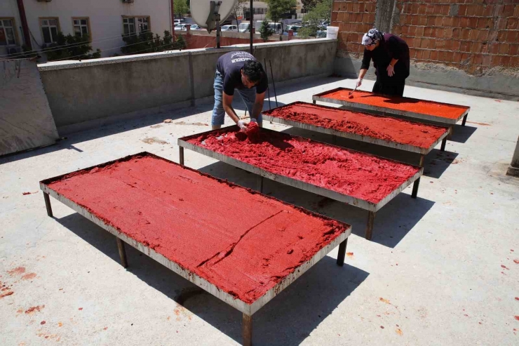 Gaziantep’te Biber Salçası Mesaisi Başladı