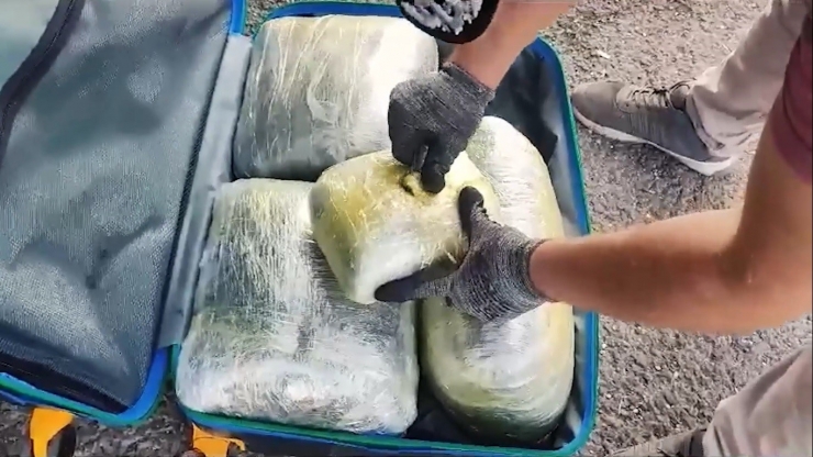 Gaziantep’te 6 Kilo 450 Gram Skunk Ele Geçirildi