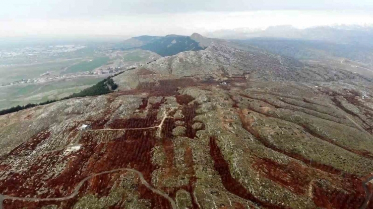 Dağ Taş Şantiyeye Döndü