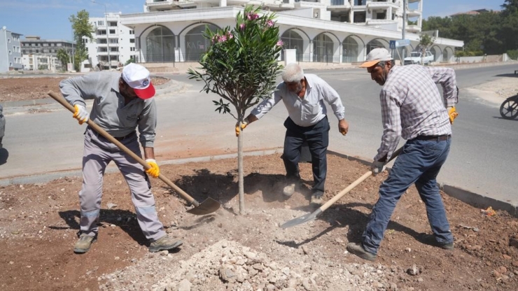 Adıyaman Belediyesi Peyzaj Çalışmalarına Devam Ediyor