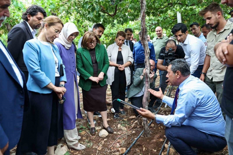 Nurdağı’ndaki Tarım Arazilerine Akıllı Tarım Uygulaması