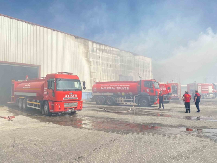 Şanlıurfa’da Geri Dönüşüm Fabrikasında Korkutan Yangın