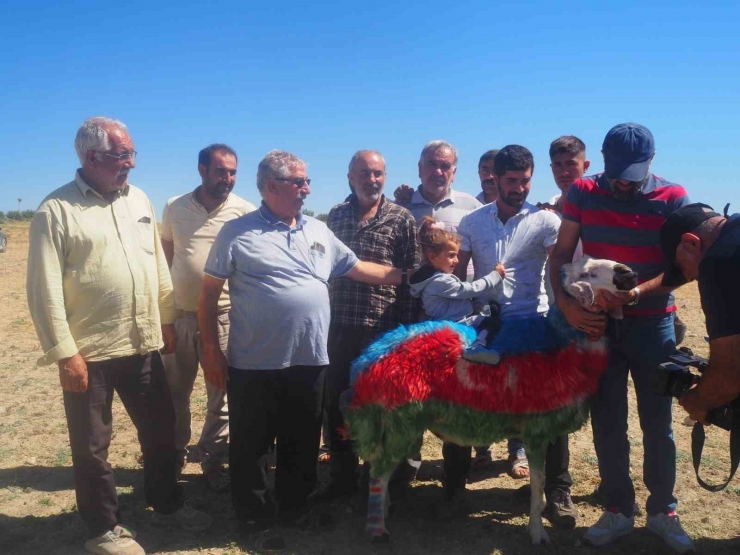 Malatya’da Koç Katımı Şenliği Düzenlendi