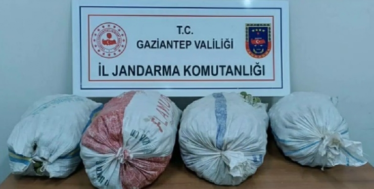 Gaziantep’te Yakalanan 151 Hırsızlık Şüphelisinden 57’si Tutuklandı