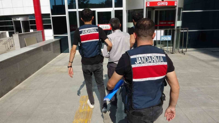 Terör Operasyonunda 1 Şahıs Tutuklandı