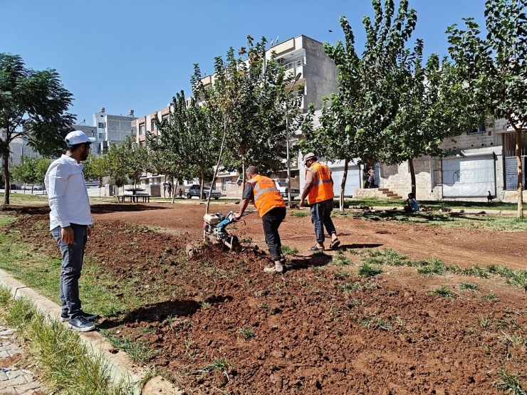 Eyyübiye Parklarında Sonbahar Çalışması