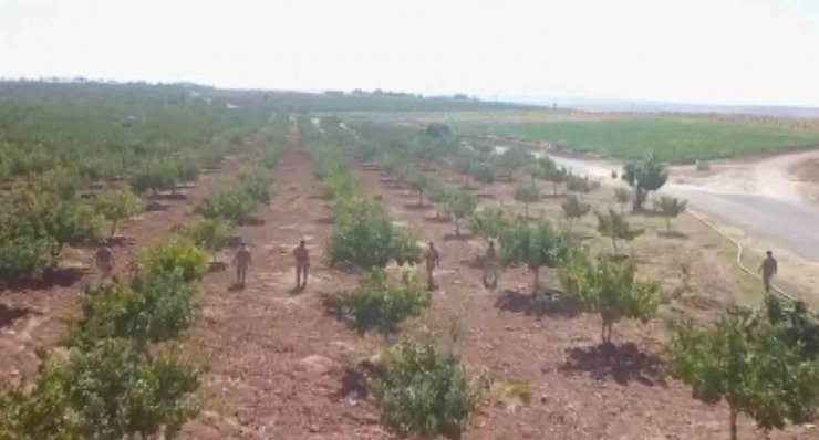 Gaziantep’te “yeşil Altın” Denetimlerinde 108 Tutuklama