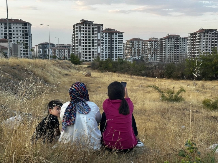 Bir Yıl Önce Aldıkları Evlerinin Yıkımını Gözyaşları İçinde İzlediler