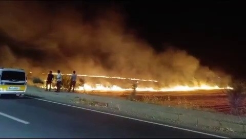 Adıyaman’da Korkutan Anız Yangını