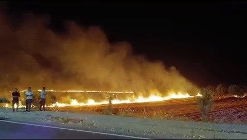 Adıyaman’da Korkutan Anız Yangını