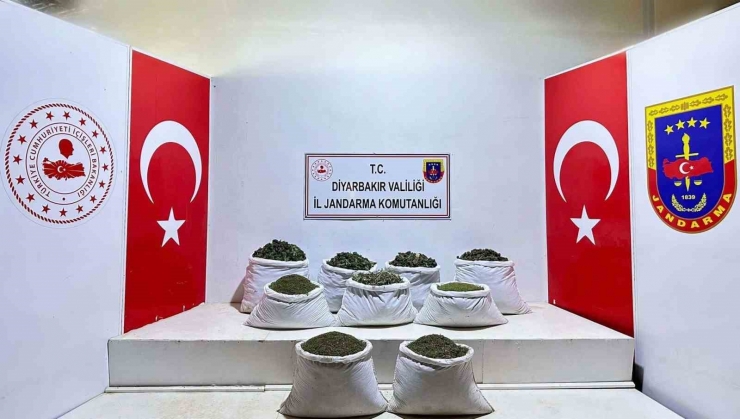 Diyarbakır’da 121 Kilo Esrar, 350 Bin Kök Skunk Ve Kenevir Ele Geçirildi