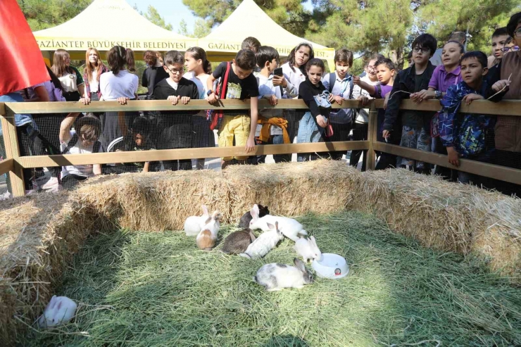 Gaziantep Büyükşehir, Dünya Hayvanları Koruma Günü’nde Farkındalığa Dikkat Çekti