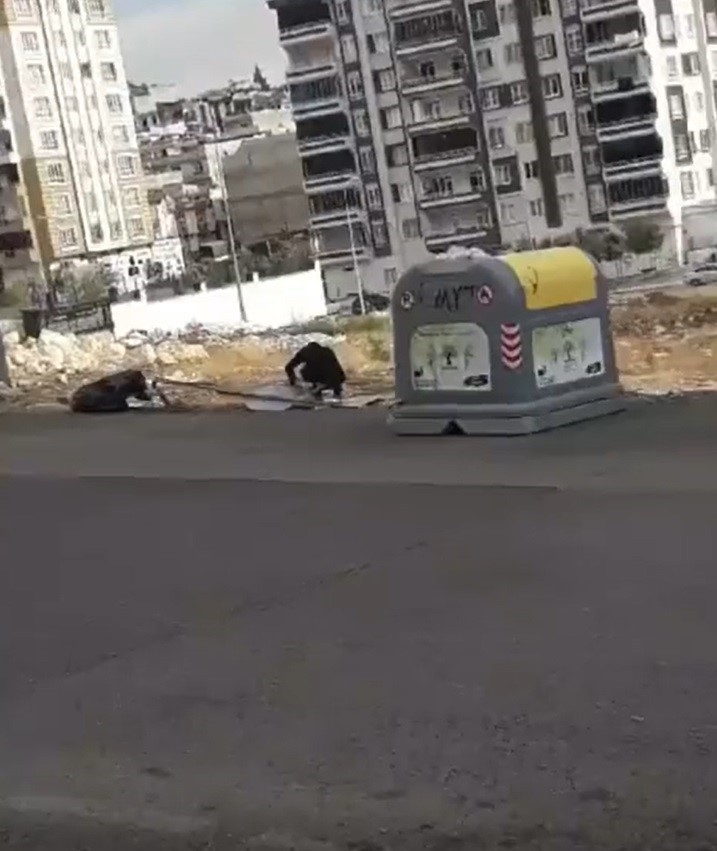 Gaziantep’te Trafik Uyarı İşaret Levhası Hırsızlığı Kamerada