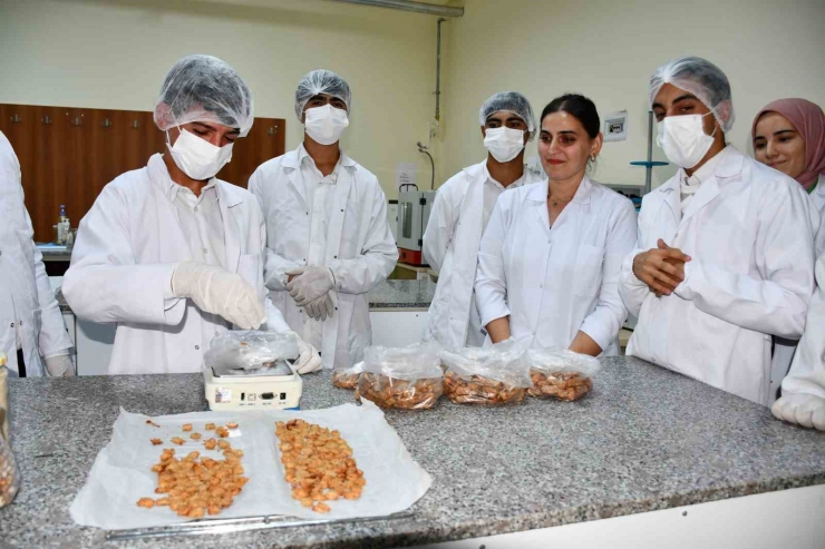 Meslek Liseliler Yemek Artıklarını Kedi Ve Köpek Mamasına Dönüştürüyor