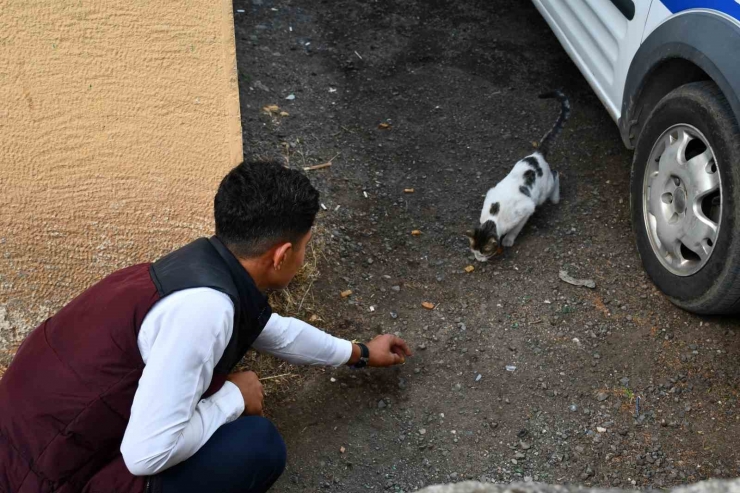 Meslek Liseliler Yemek Artıklarını Kedi Ve Köpek Mamasına Dönüştürüyor